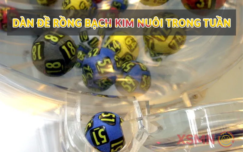 Dàn đề Rồng Bạch Kim nuôi trong tuần