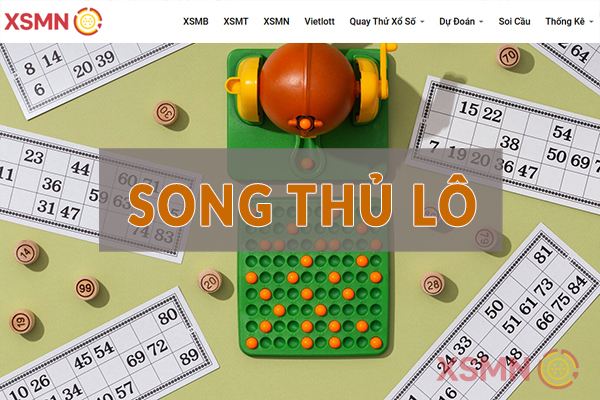 Tổng quan về soi cầu song thủ lô VIP